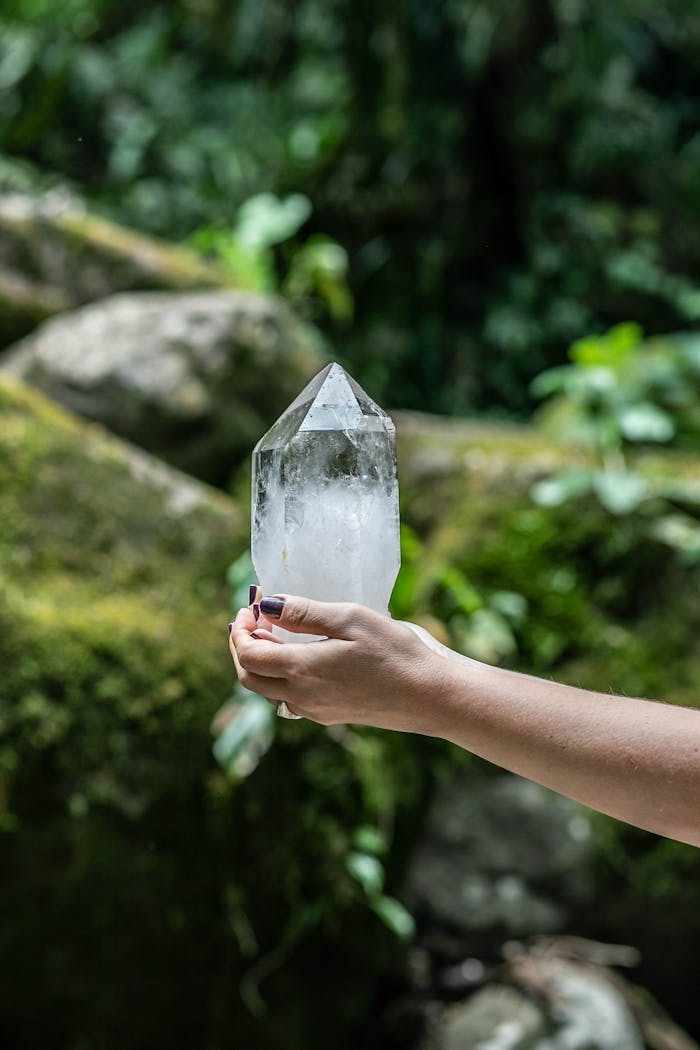 A person holding a clear crystal in a vibrant green forest setting.